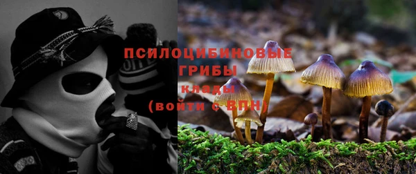 молекула духа Баксан