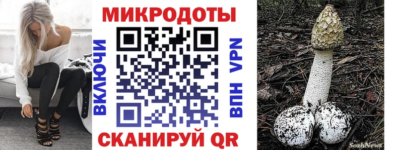 сайты даркнета клад  Тихвин  Галлюциногенные грибы Psilocybe  магазин продажи  
